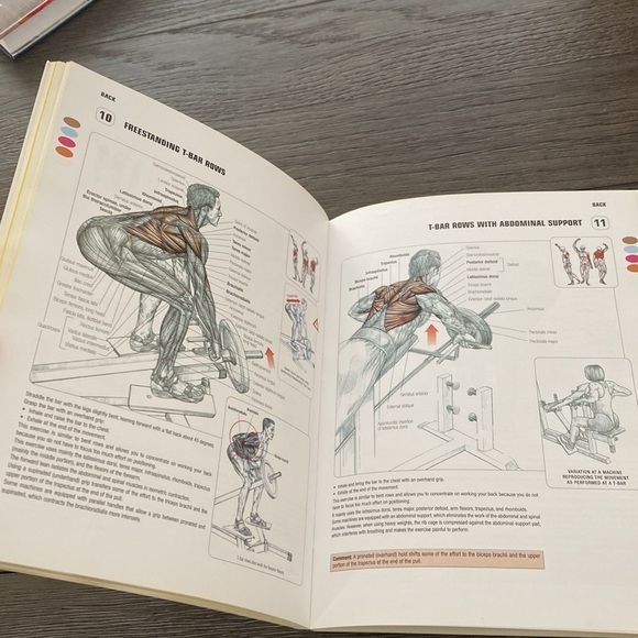 Delavier strength, training, anatomy, second edition - Picture 4 of 10